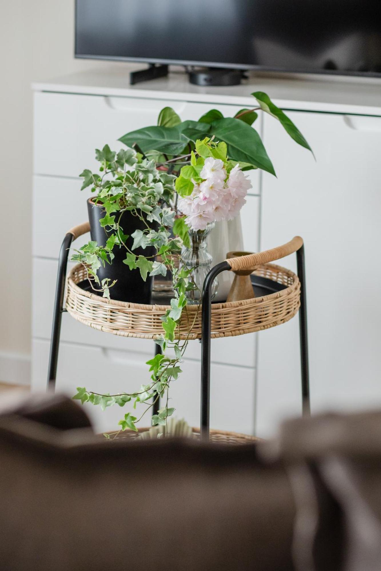 Ts Gold New Town Apartment & Free Private Parking Szczecin Exterior foto