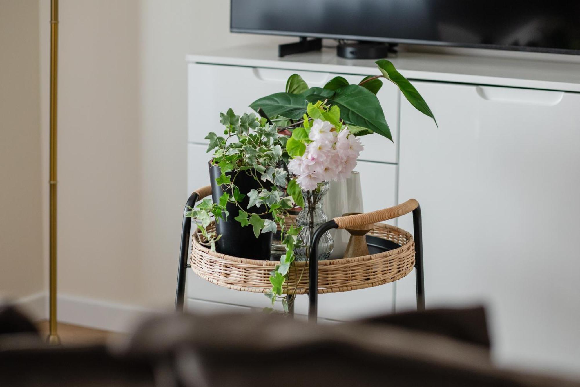 Ts Gold New Town Apartment & Free Private Parking Szczecin Exterior foto